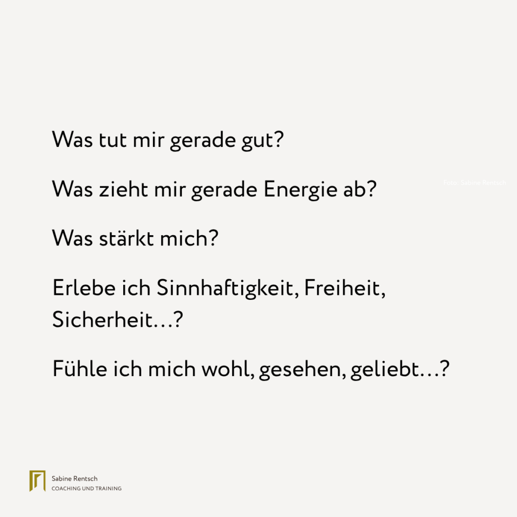 Grafik mit Reflexionsfragen: Was tut mir gerade gut? Was zieht mir Energie ab? Was stärkt mich? Erlebe ich Sinnhaftigkeit, Freiheit, Sicherheit? Fühle ich mich wohl, gesehen, geliebt?
(Inhalt und Design: Sabine Rentsch)